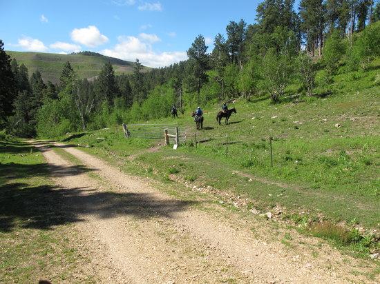 Blacktail Horseback and Walking Tours