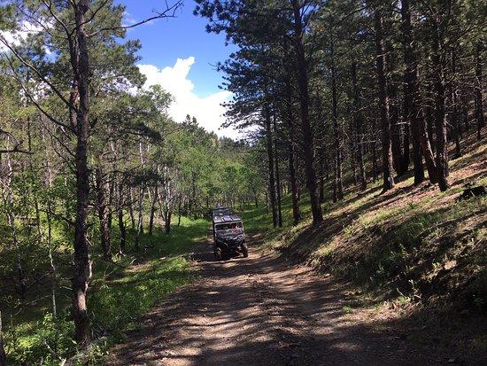 Black Hills Wilderness Edge