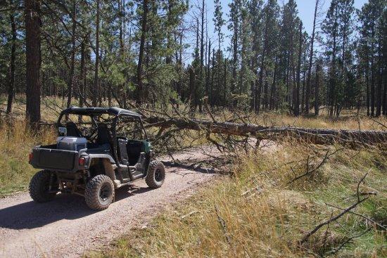 Black Hills ATV Adventures